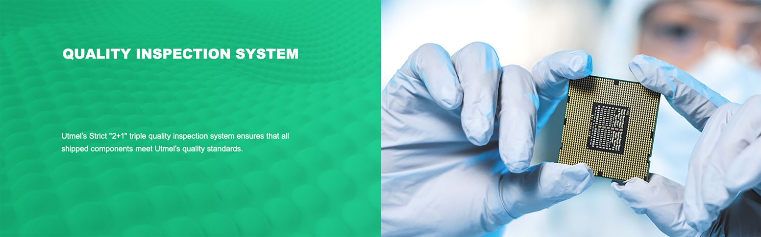 Quality Inspection System detail