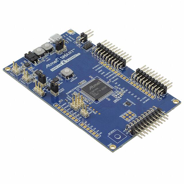 Microchip Technology ATSAMC21N-XPRO
