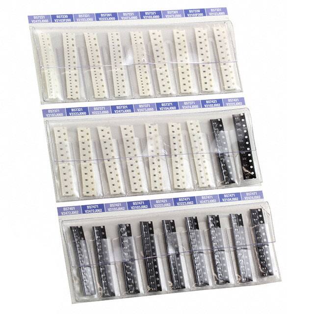 TDK Electronics Inc. B57999V2999J199