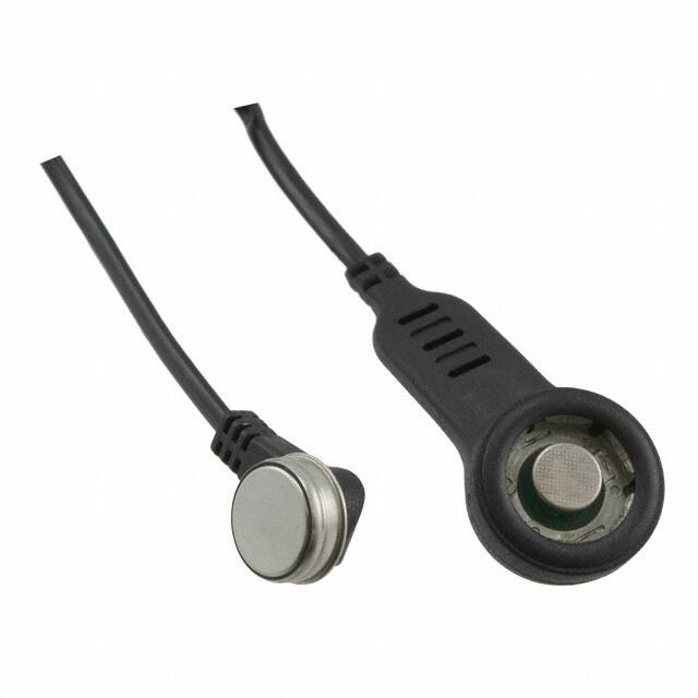 Maxim Integrated DS1402-BP8