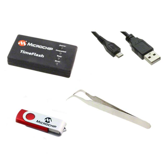 Microchip Technology DSC-TIMEFLASH