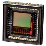 NOIP1SN0500A-QTI