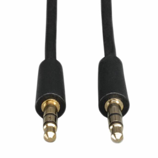 Tripp Lite P312-010