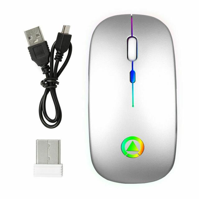 Sanoxy SANOXY-USB-RCH-MS-SLV
