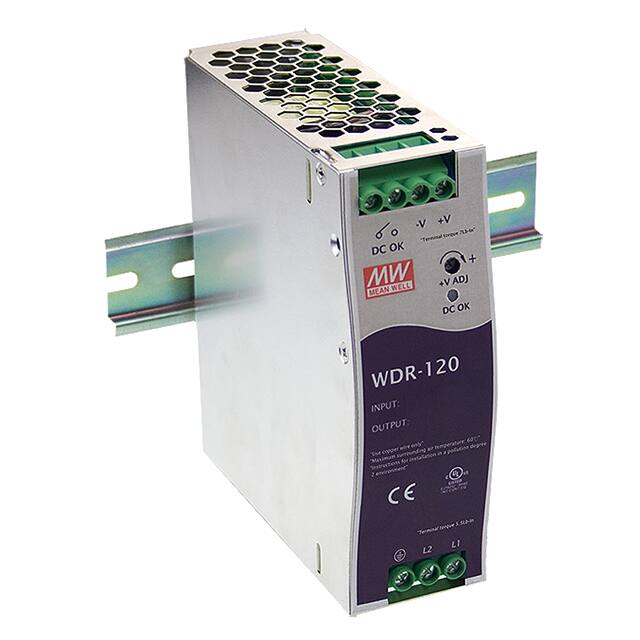 MEAN WELL USA Inc. WDR-120-24