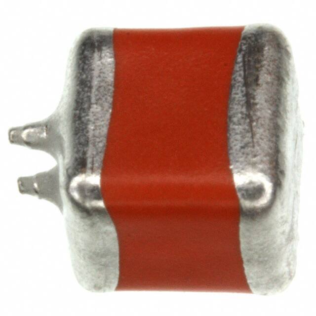 Vishay Sprague 597D106X9063D2T