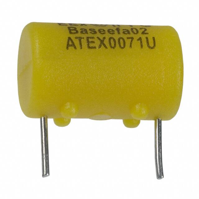 Littelfuse Inc. 0259.062T
